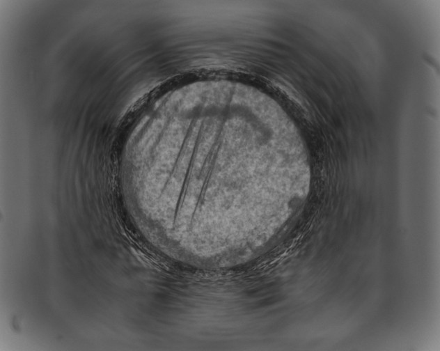 X0000094800775200712141651