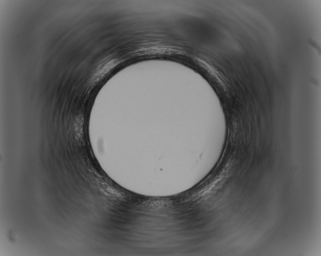 X0000094800778200712141651