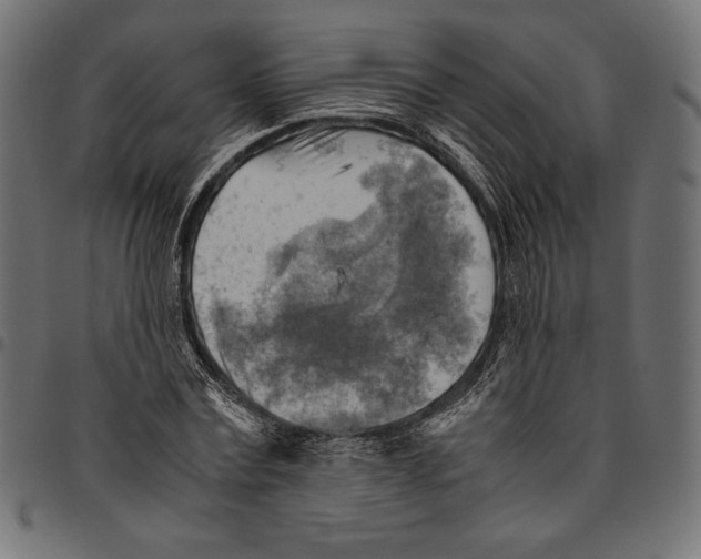 X0000094800779200712141651