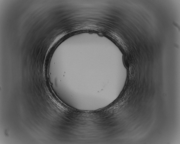 X0000094800780200712141651