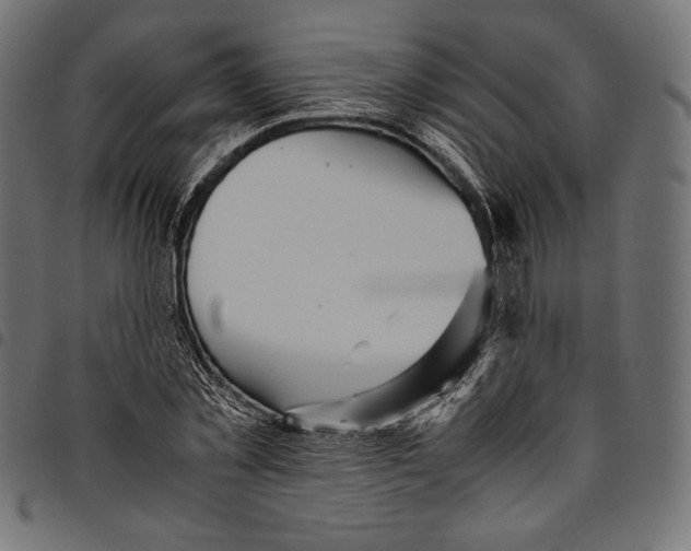 X0000094800781200712141651