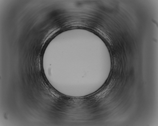 X0000094800782200712141651