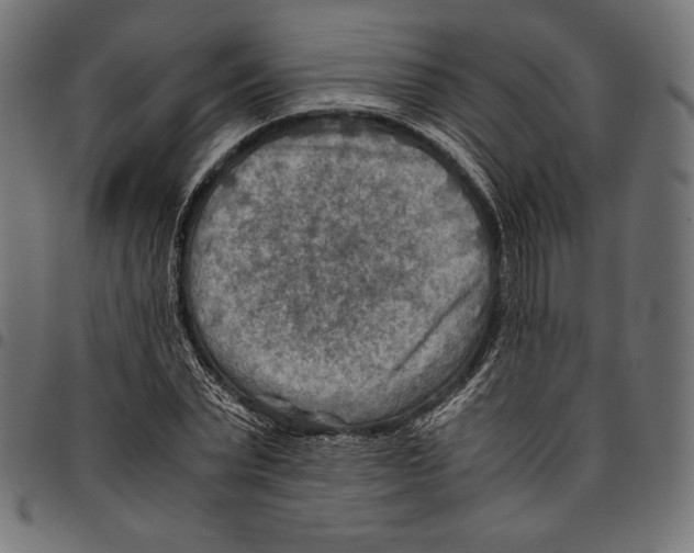 X0000094800783200712141651