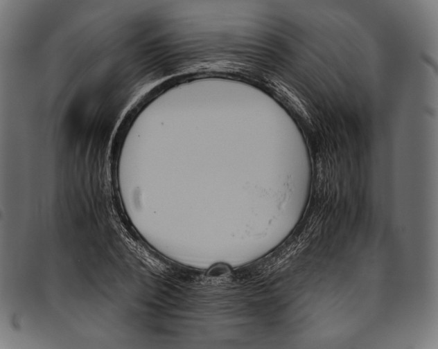 X0000094800784200712141651