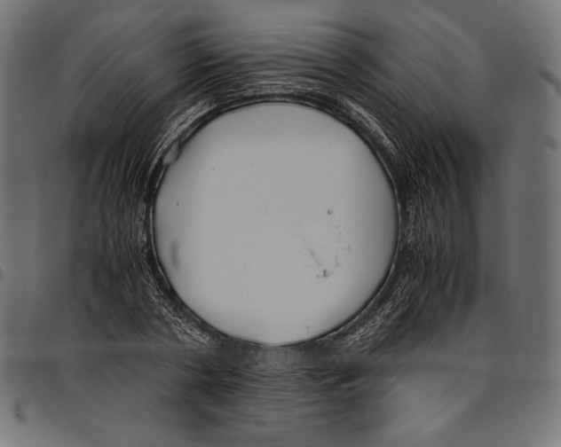 X0000094800786200712141651