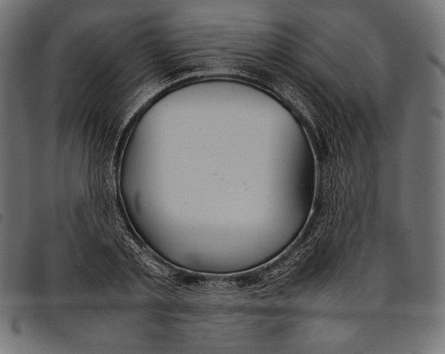 X0000094800789200712141651