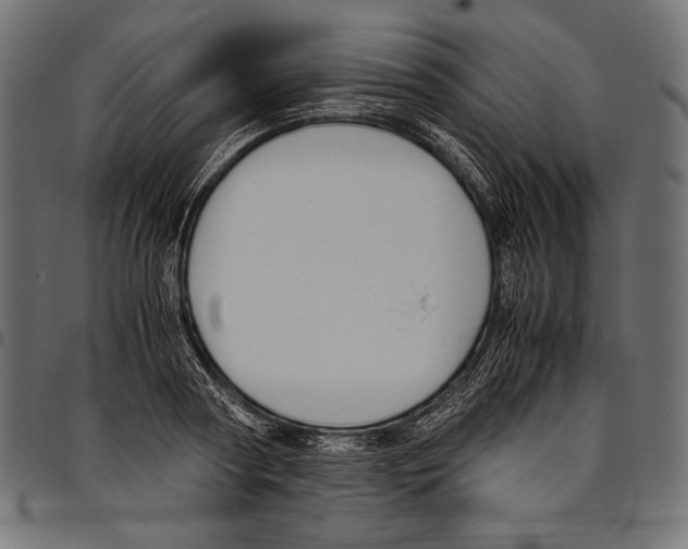 X0000094800794200712141651