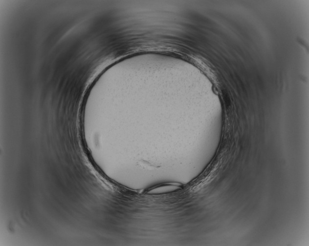 X0000094800803200712141651