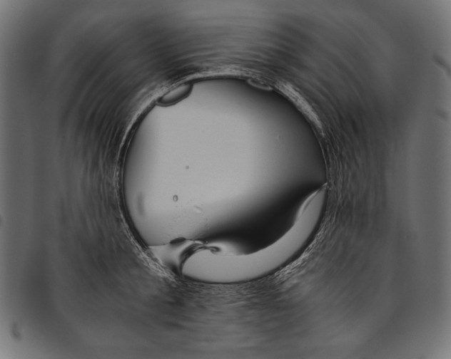 X0000094800805200712141651