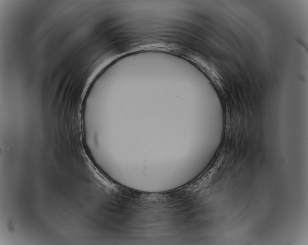 X0000094800808200712141651