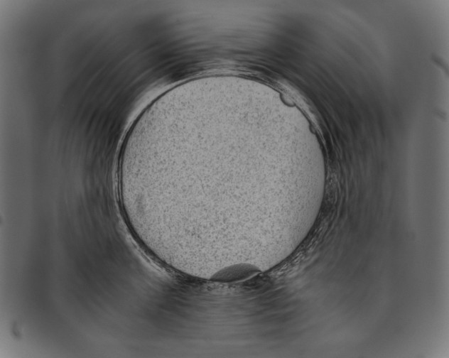 X0000094800811200712141651