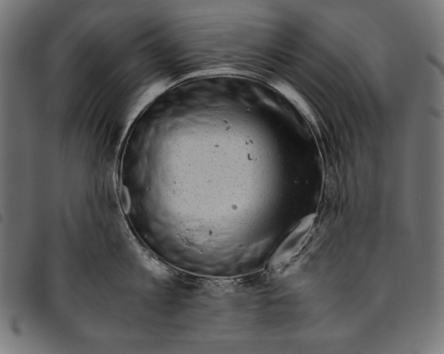 X0000094800813200712141651