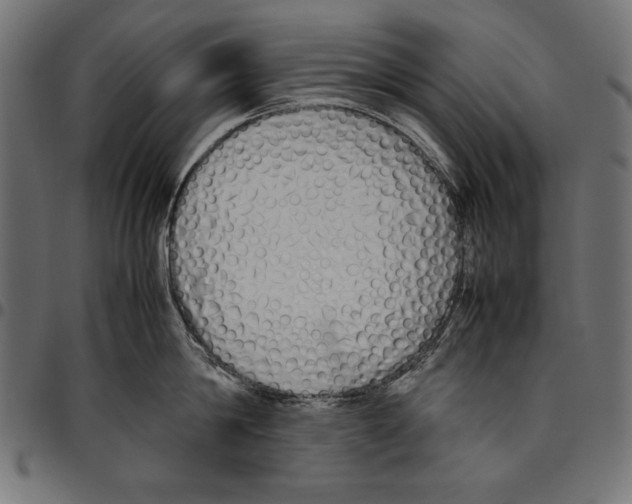 X0000094800814200712141651