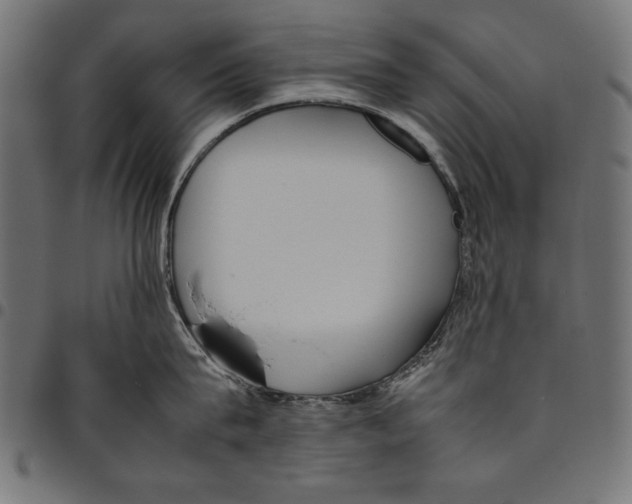 X0000094800815200712141651