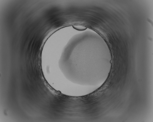X0000094800816200712141651