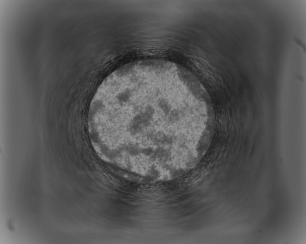 X0000094800817200712141650