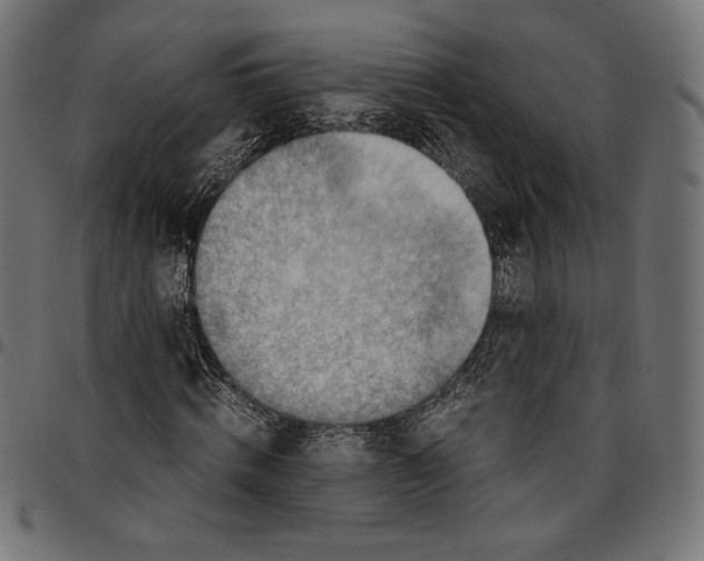 X0000094800820200712141650