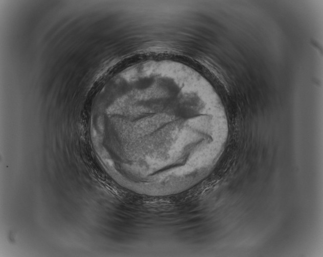X0000094800823200712141650