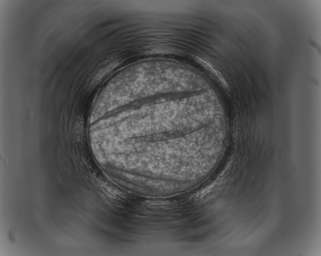 X0000094800825200712141650