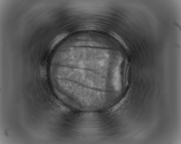 X0000094800826200712141650