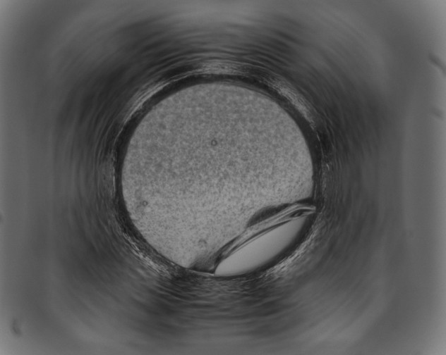 X0000094800829200712141650