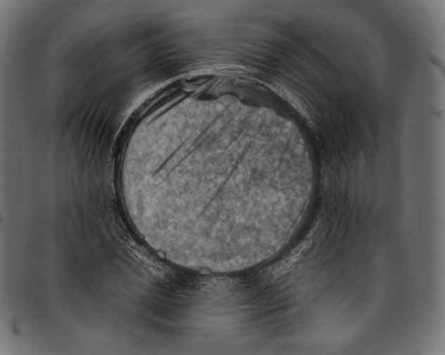 X0000094800830200712141650