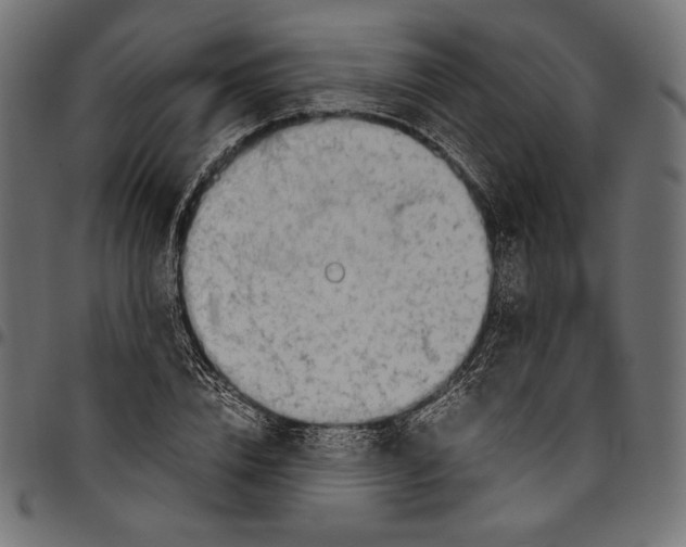 X0000094800832200712141650