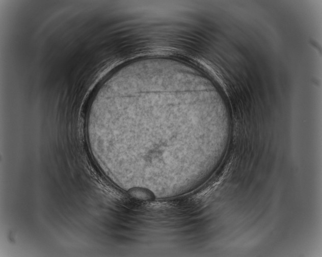 X0000094800835200712141650
