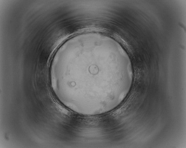 X0000094800836200712141650