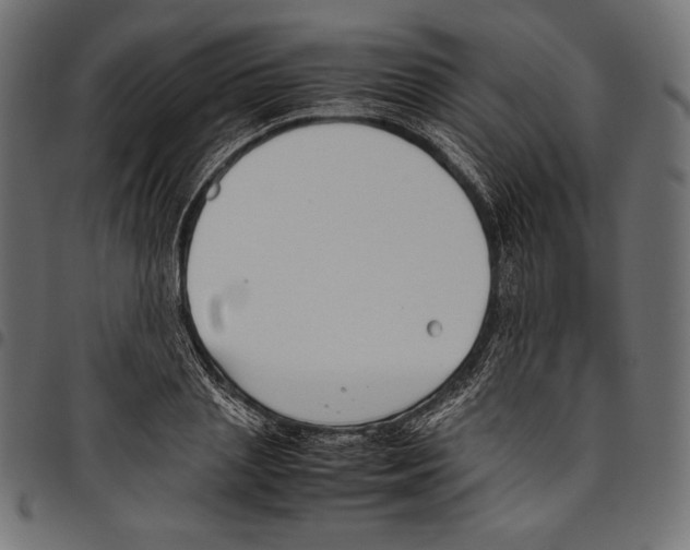 X0000094800837200712141650