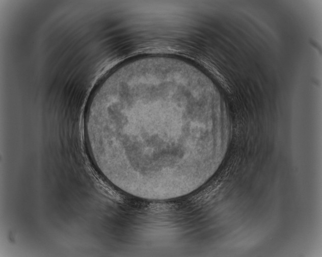 X0000094800840200712141651