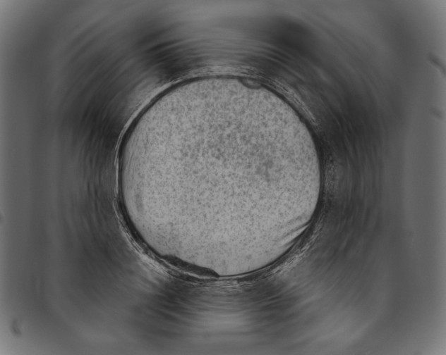 X0000094800844200712141651