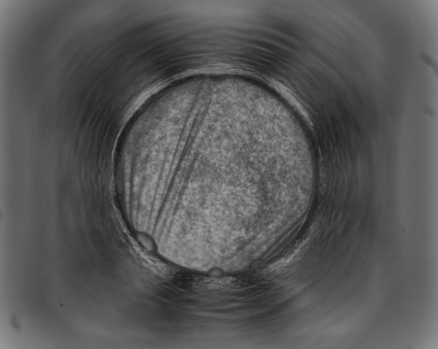 X0000094800845200712141651