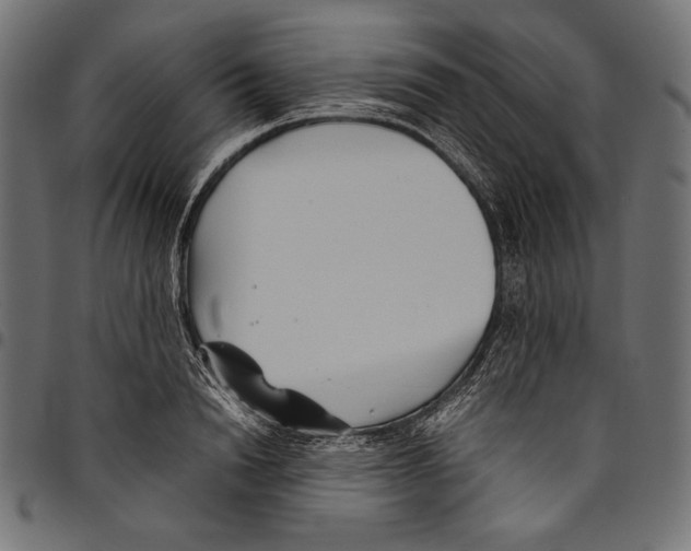 X0000094800846200712141651