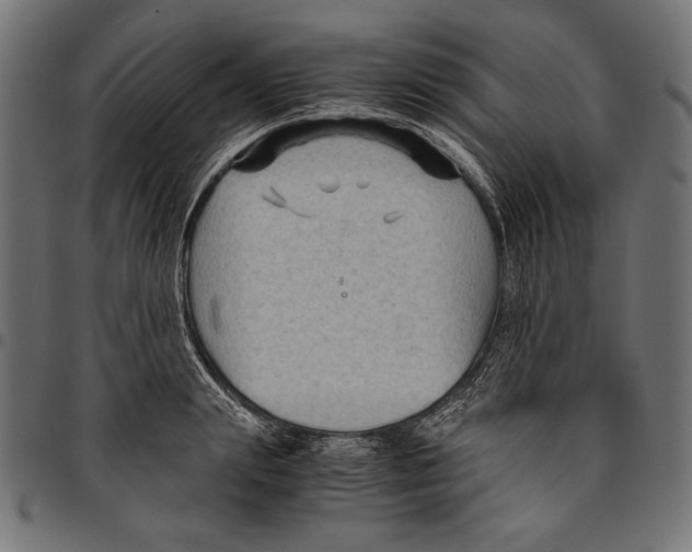 X0000094800847200712141651