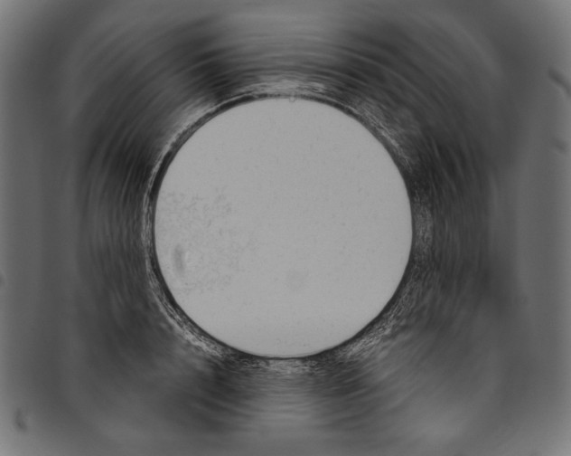 X0000094800848200712141651