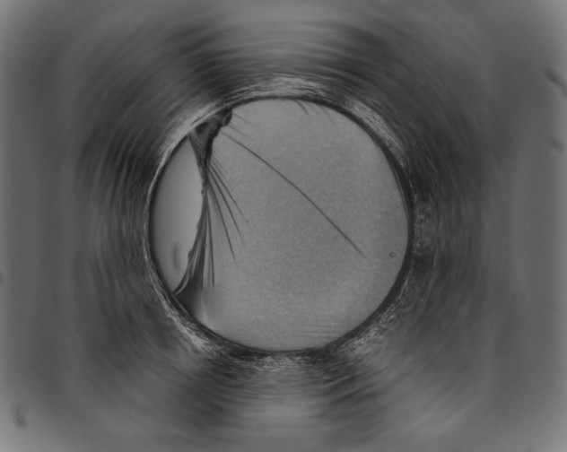X0000094800850200712141651