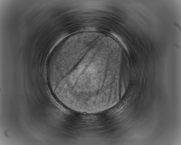 X0000094800851200712141651