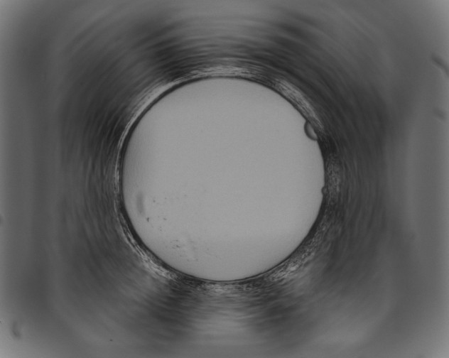 X0000094800852200712141651