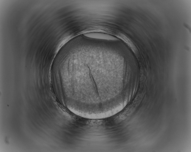 X0000094800858200712141651