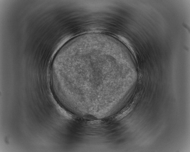 X0000094800859200712141651