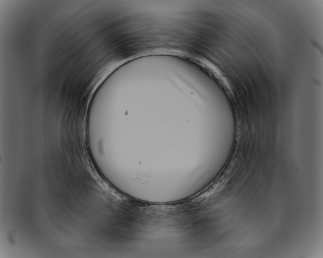 X0000094800860200712141651