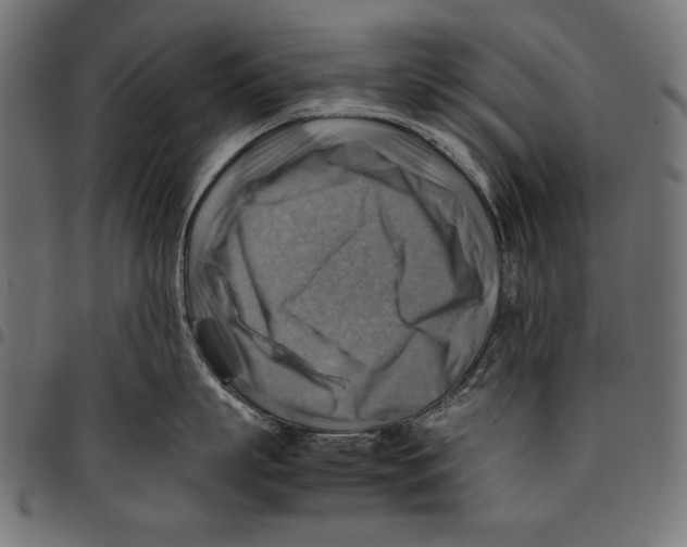 X0000094800863200712141651