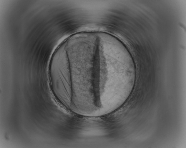 X0000094800864200712141651