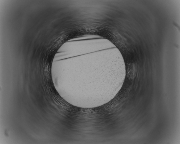 X0000094800866200712141650