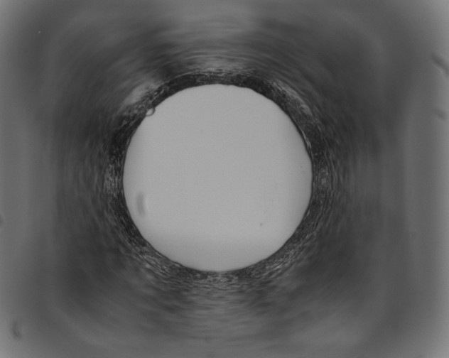X0000094800869200712141650