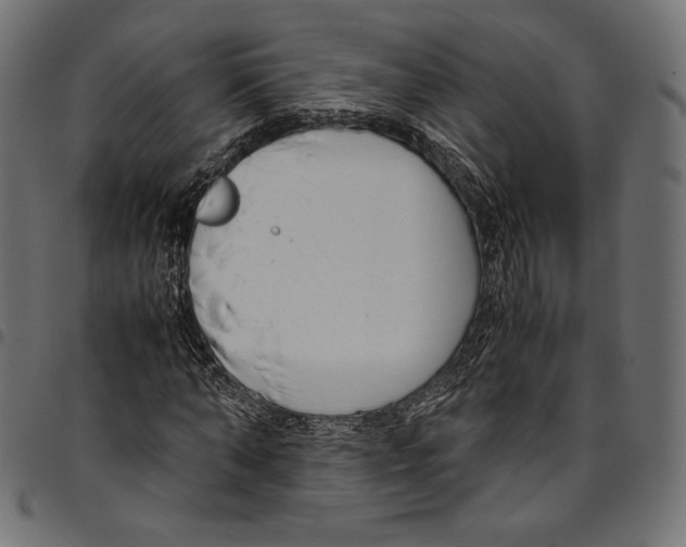 X0000094800870200712141650