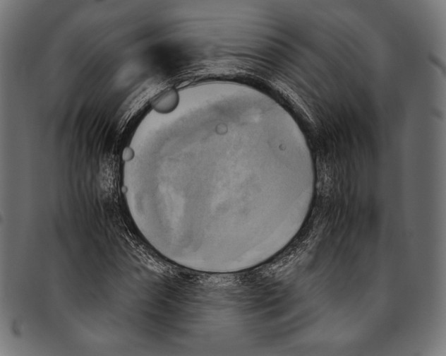 X0000094800874200712141650