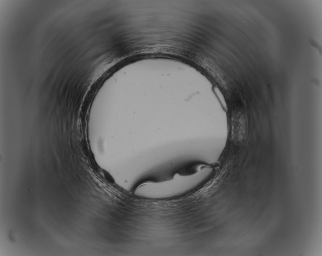 X0000094800876200712141650