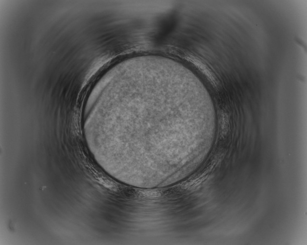 X0000094800878200712141650